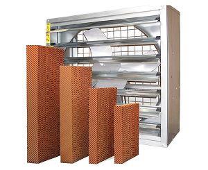 榴莲视频成人APP在线观看水帘的除臭方法和维护方法