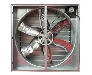 畜牧榴莲视频成人APP在线观看价格